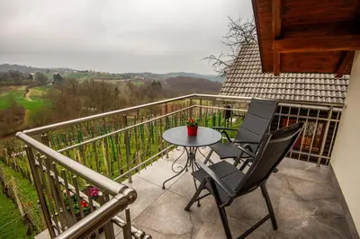 a balcony with a table and chairs on a balcony at Vineyard cottage Majolka in Novo Mesto
