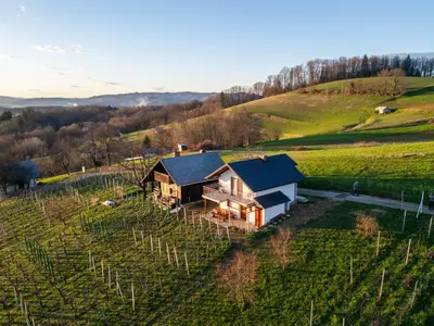 an aerial view of a house in a vineyard at Vineyard cottage Majolka in Novo Mesto