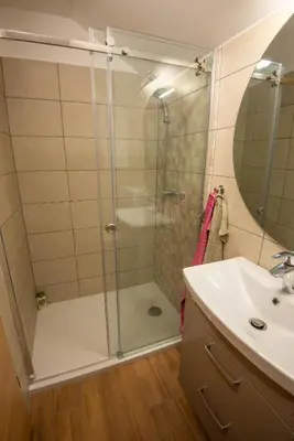 a bathroom with a shower and a sink at Vineyard cottage Majolka in Novo Mesto