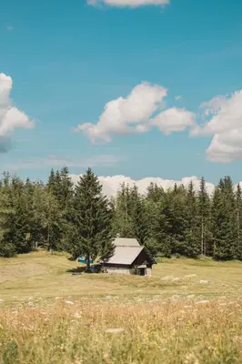 an old cabin in a field with trees and grass at Hiša Juliana - Perfect Starting Point To Explore Slovenia in Podbrdo