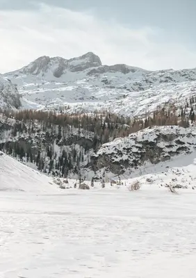 a view of a snow covered mountain range with trees at Hiša Juliana - Perfect Starting Point To Explore Slovenia in Podbrdo