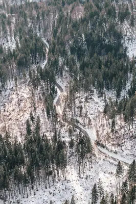 an aerial view of a snow covered mountain with trees at Hiša Juliana - Perfect Starting Point To Explore Slovenia in Podbrdo