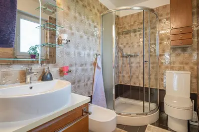 a bathroom with a sink and a shower and a toilet at House Dijana With Pool - Happy Rentals in Nova Vas