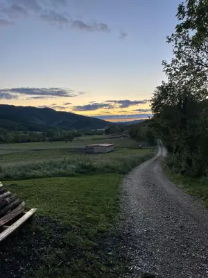 a dirt road leading to a field with a barn at Homestead - Domačija - Nabergoj in Podnanos