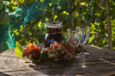 a table with two glasses and a bottle of wine and grapes at Zidanica Vidrih in Dolenjske Toplice