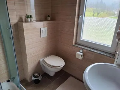 a small bathroom with a toilet and a sink at Zidanica Vidrih in Dolenjske Toplice
