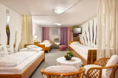 a hotel room with beds and chairs and a tv at Apartments Ladka in Begunje na Gorenjskem