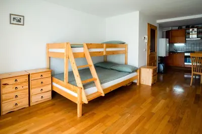 a bedroom with a bunk bed with a ladder at Apartma Pokljuška idila - Idyllic Pokljuka Studio above Bled in Bled