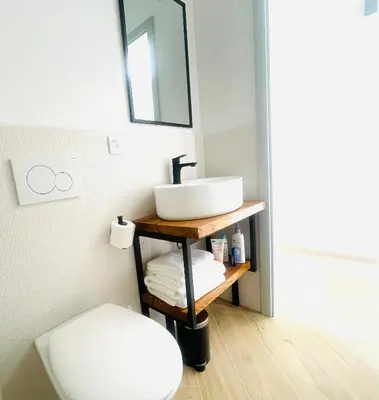 a bathroom with a sink and a toilet at Luxury Holiday House BREZOV BREG in Dankovci