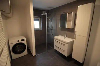 a bathroom with a shower sink and a washing machine at Naia Apartments in Novo Mesto
