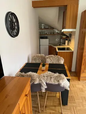 a kitchen with a table and chairs in a kitchen at APARTMA MORAVSKE TOPLICE in Moravske Toplice