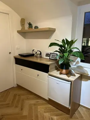 a kitchen with a counter with a plant on it at GG art apartments III in Ljubljana