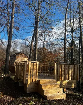 a wooden bridge in the middle of a forest at T'glamp Bee house in Rovte