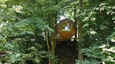 a tree house in the middle of the forest at T'glamp Bee house in Rovte