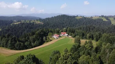 an aerial view of a house on a hill with trees at T'glamp Bee house in Rovte