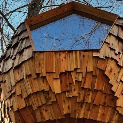 T'glamp Bee house