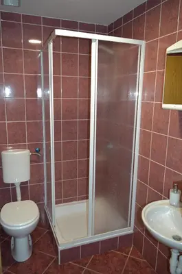 a shower in a bathroom with a toilet and a sink at Gostilna s prenocisci Danica in Slovenska Bistrica