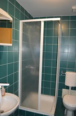 a bathroom with a shower with a toilet and a sink at Gostilna s prenocisci Danica in Slovenska Bistrica