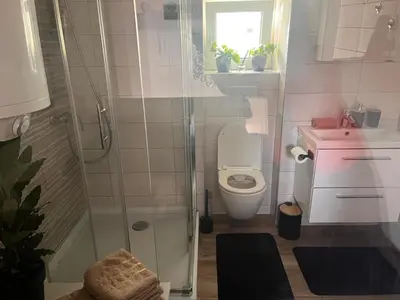 a small bathroom with a toilet and a shower at LiLan apartment in Maribor