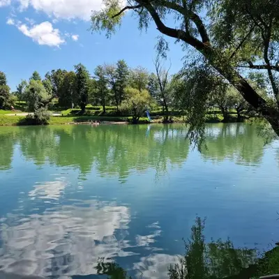 a view of a pond in a park at BREZA mobile house BIG BERRY in Metlika