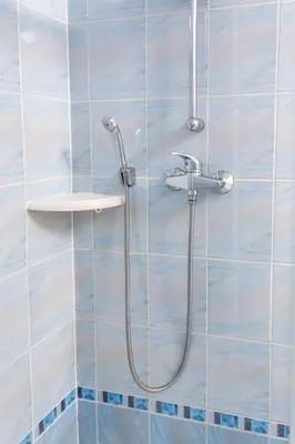 a shower in a bathroom with blue tiles at Apartma Lozar in Ajdovščina