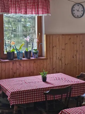 a room with a table with a red and white checkered table cloth on at Črnuški dom na Mali planini in Krivčevo