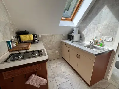 a small kitchen with a stove and a sink at Apartment Šefic in Planina