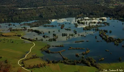 an aerial view of a lake with trees at Apartment Šefic in Planina
