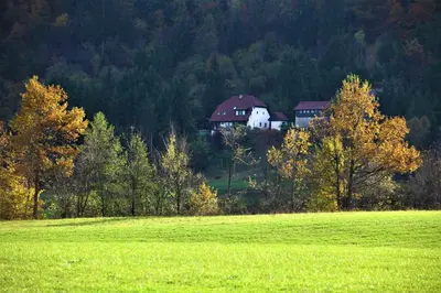 a house in the middle of a green field at Apartment Šefic in Planina