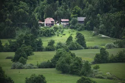 an aerial view of a house in a green field at Apartment Šefic in Planina