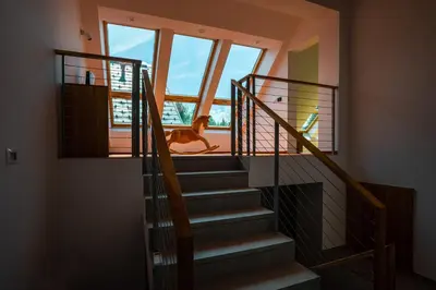 a staircase in a house with a dog looking out the window at LUCKA BLED quiet location, free bikes, big garden, doctor in Bled