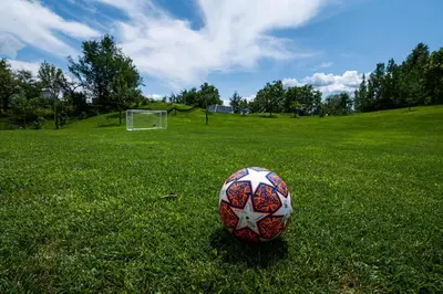 a soccer ball on the grass in a field at LUCKA BLED quiet location, free bikes, big garden, doctor in Bled