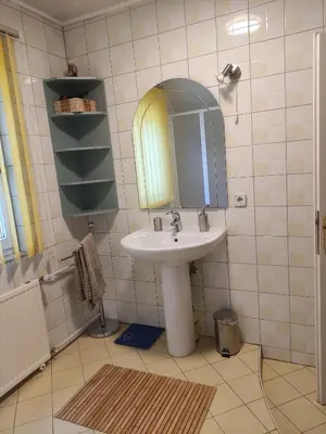 a bathroom with a sink and a mirror at Apartments Irena in Kranjska Gora