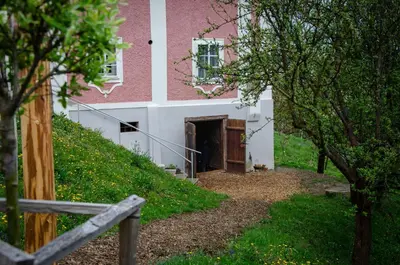a pink and white house with a door and trees at Rezidenca Sv. Peter in Malečnik
