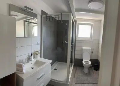 a bathroom with a shower and a toilet and a sink at Apartment Štucin in Vipava