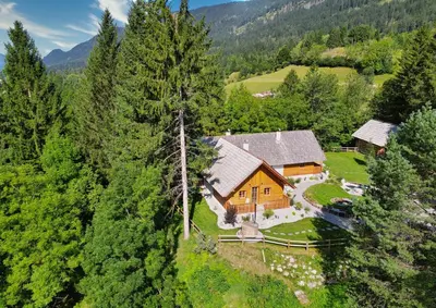 an aerial view of a house in the woods at Alpine Retreat Apartments Šurc in Rateče