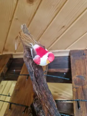 a bird perched on top of a wooden stick at Koča v gozdu, Forest house near Bled in Bled