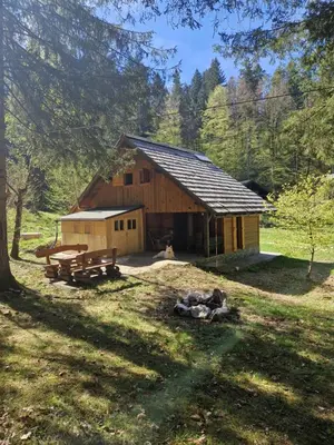 a wooden cabin with a picnic table and benches in a field at Koča v gozdu, Forest house near Bled in Bled