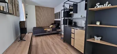 a small room with a bed and a kitchen at Studio Apartment Aurora in Škofljica