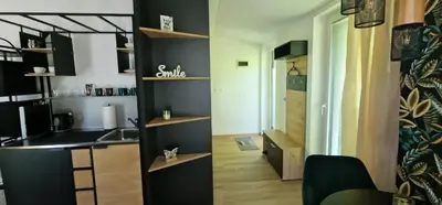 a kitchen with black walls and wooden shelves at Studio Apartment Aurora in Škofljica