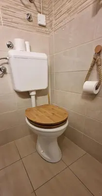 a bathroom with a toilet with a wooden toilet seat at Deteljica in Kočevje