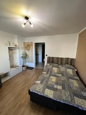 a large bedroom with a bed and a ceiling fan at Deteljica in Kočevje