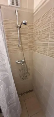 a shower with a hose in a bathroom at Deteljica in Kočevje