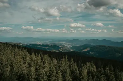 a view from the top of a mountain with trees at Rogla Alpina Residence in Zreče