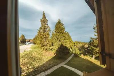 a view of trees from a window of a house at Rogla Alpina Residence in Zreče