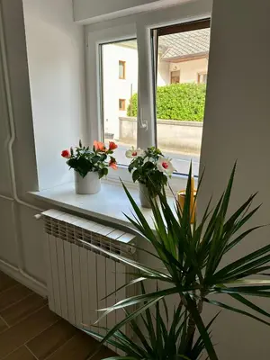 a window with two potted plants on a window sill at Alpine Echo Apartments in Bovec