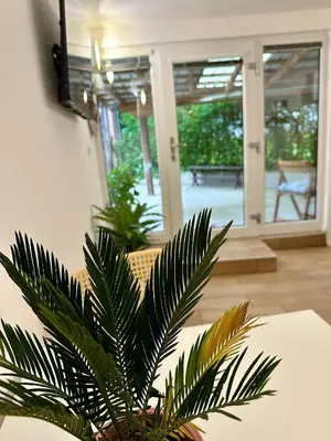 a palm tree in a living room with a table at Alpine Echo Apartments in Bovec