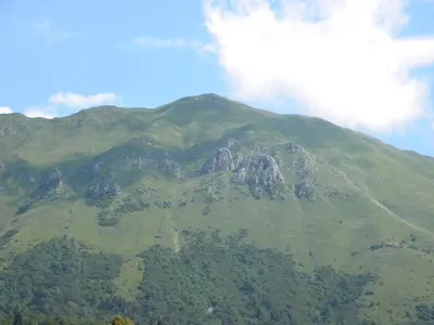 an image of a mountain with trees on it at Apartment Lošč - Podbela in Breginj