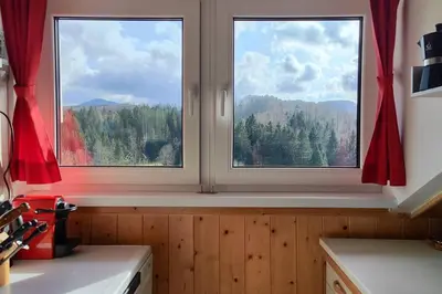 two windows in a kitchen with a view of trees at Počitniška hiška v gozdnem raju in Črni Vrh