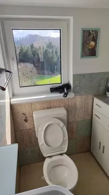 a bathroom with a white toilet with a window at Počitniška hiška v gozdnem raju in Črni Vrh